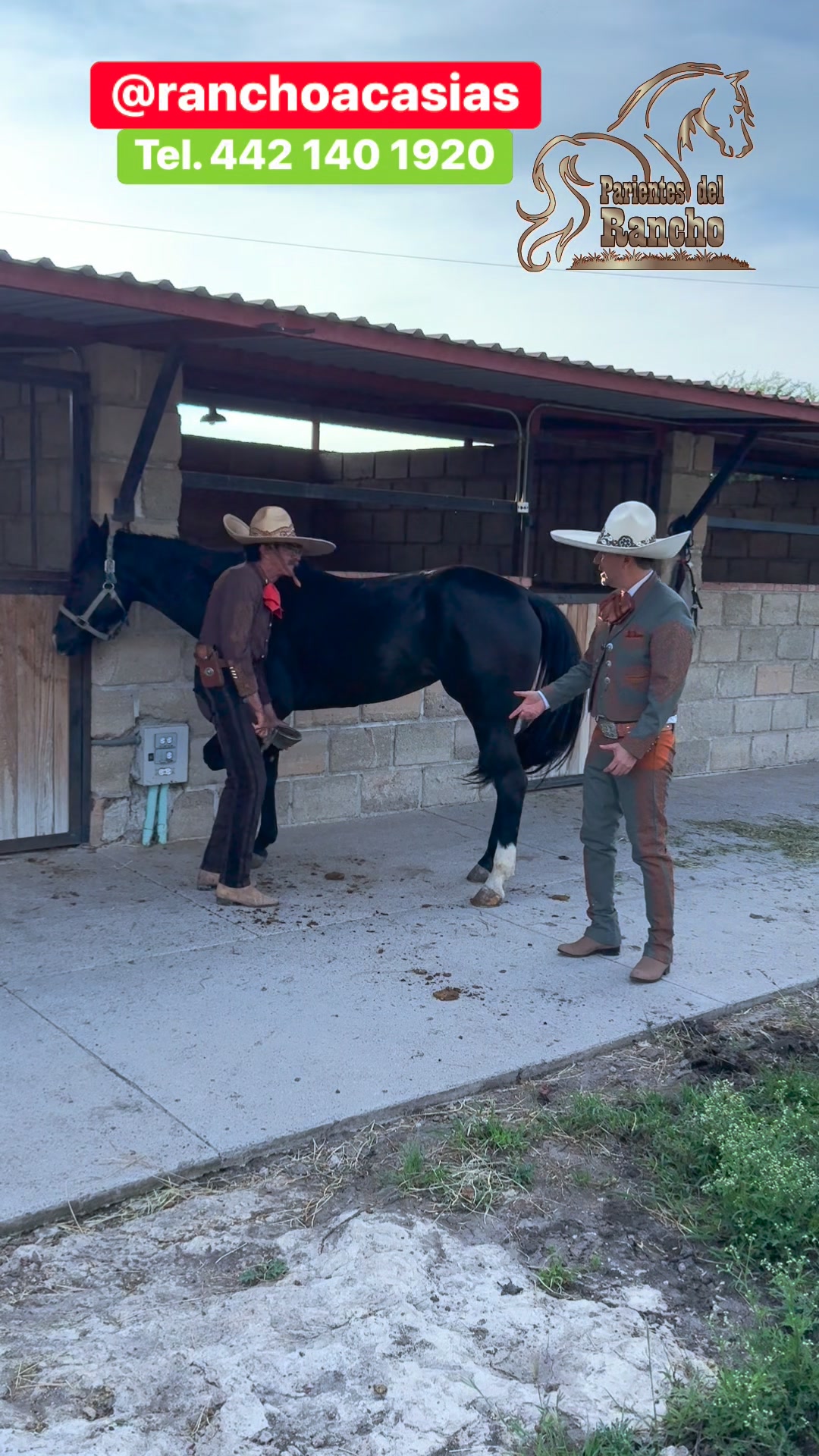 Haciendo caballos #parientesdelrancho #martinbermudez #martinloza # ...