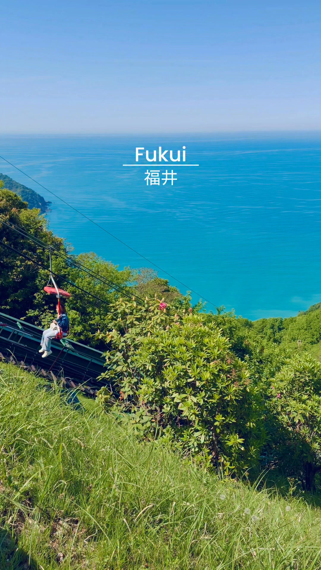 Beauty of Fukui, Japan (福井) #fblifstyle | Japan Diary日本