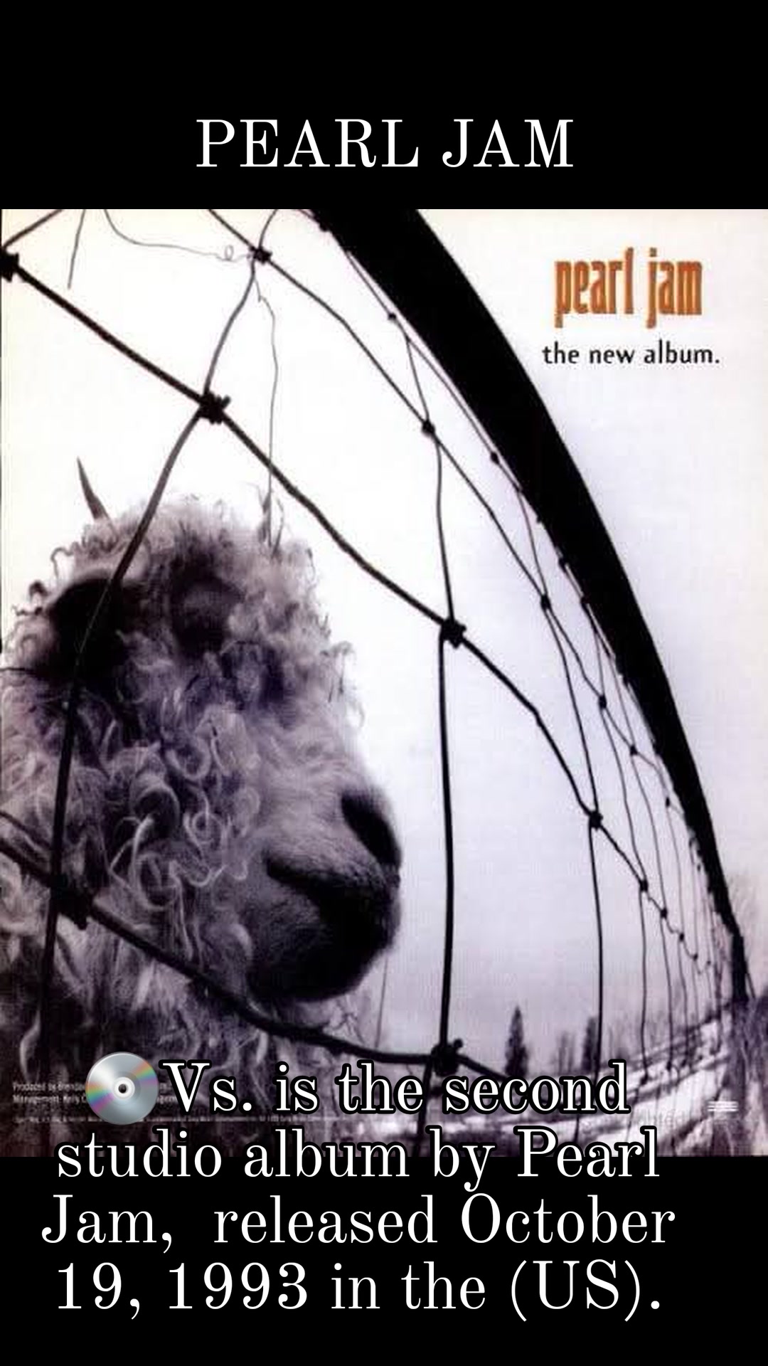 LP・USオリジナル盤】Pearl Jam – Vs.・オルタナ・グランジ Pearl Jam