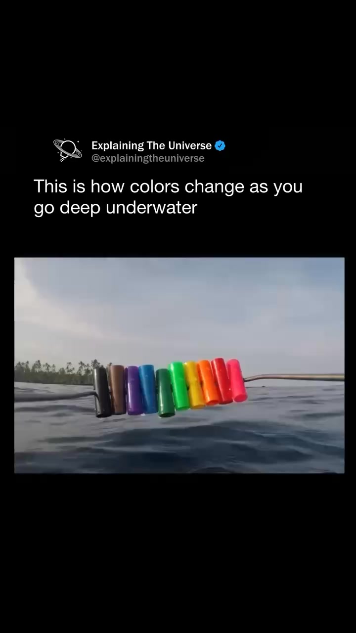 How colors change depending on the depth of the ocean, which affects ...