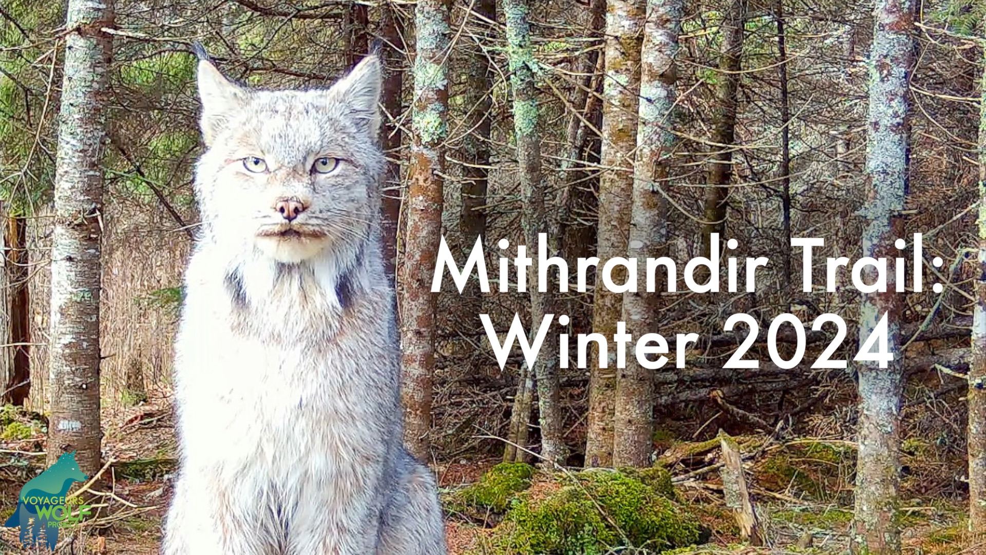 This small, remote wildlife trail yielded some amazing footage of ...