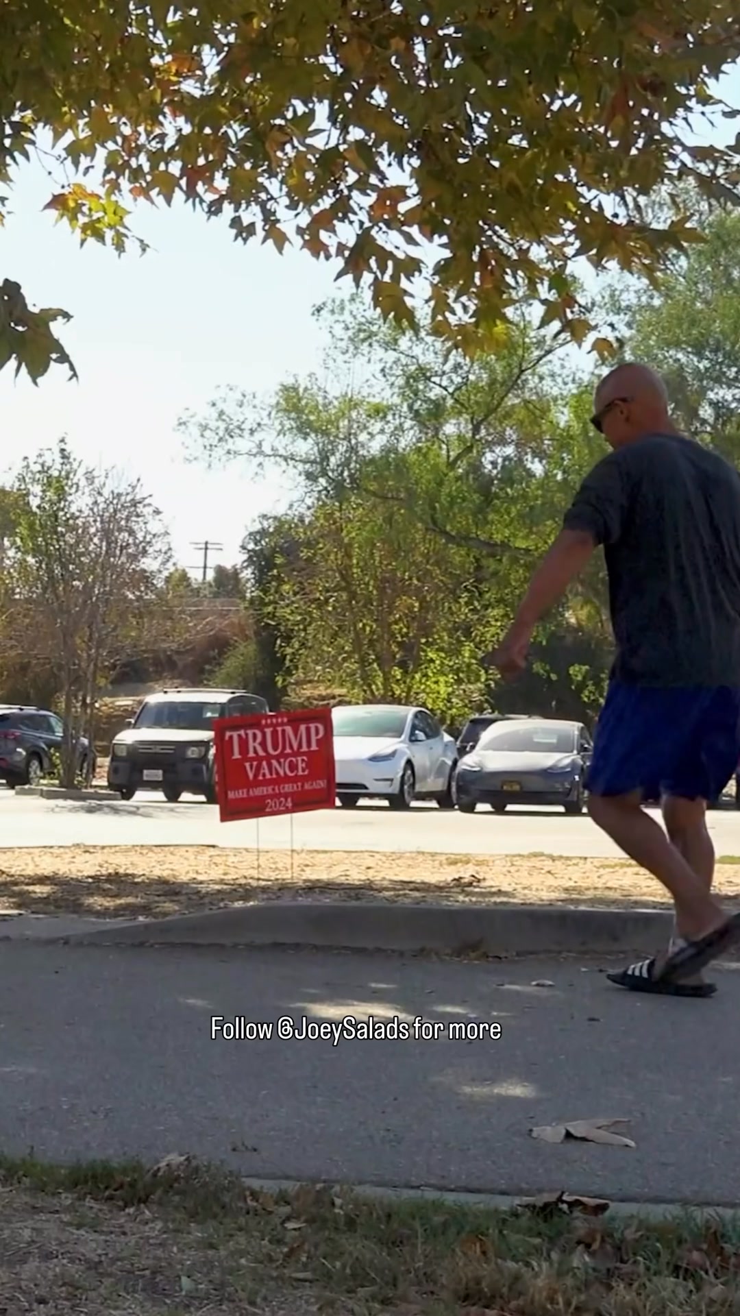 Bait Trump Sign Prank 🤣 #Pranks #JoeySalads #ViralVideos | Joey Salads ...