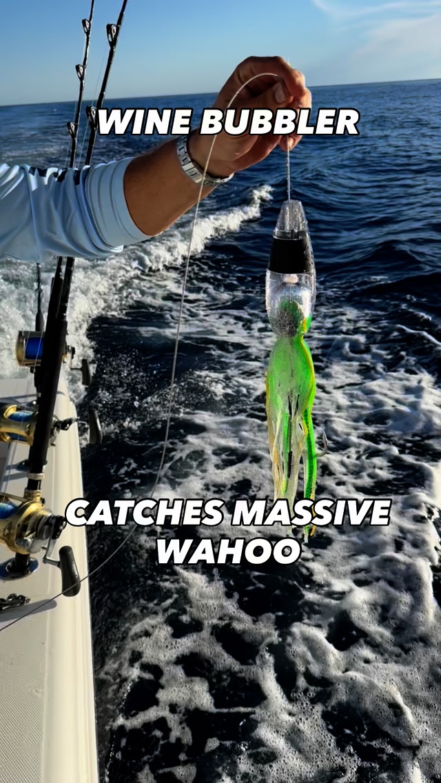 best saltwater surf fishing lures Kit, Jerkbait Striped Bass Lures Fishing Striper Lures Deep Diving Jerkbait Popper Plugs Hard Minnow Lures Baits for Inshore Offshore Ocean Deep Sea Fishing : Sports Size/Color:4-5”, White Fish Tanks Furniture & Bowls Zoom Brush Hog Midsize,