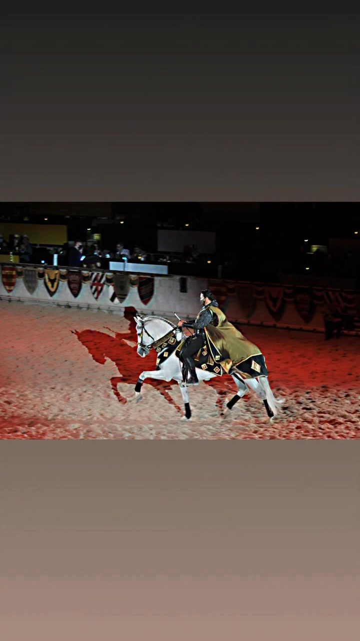 🏰•Medieval Times Dinner & Tournament - Chicago
