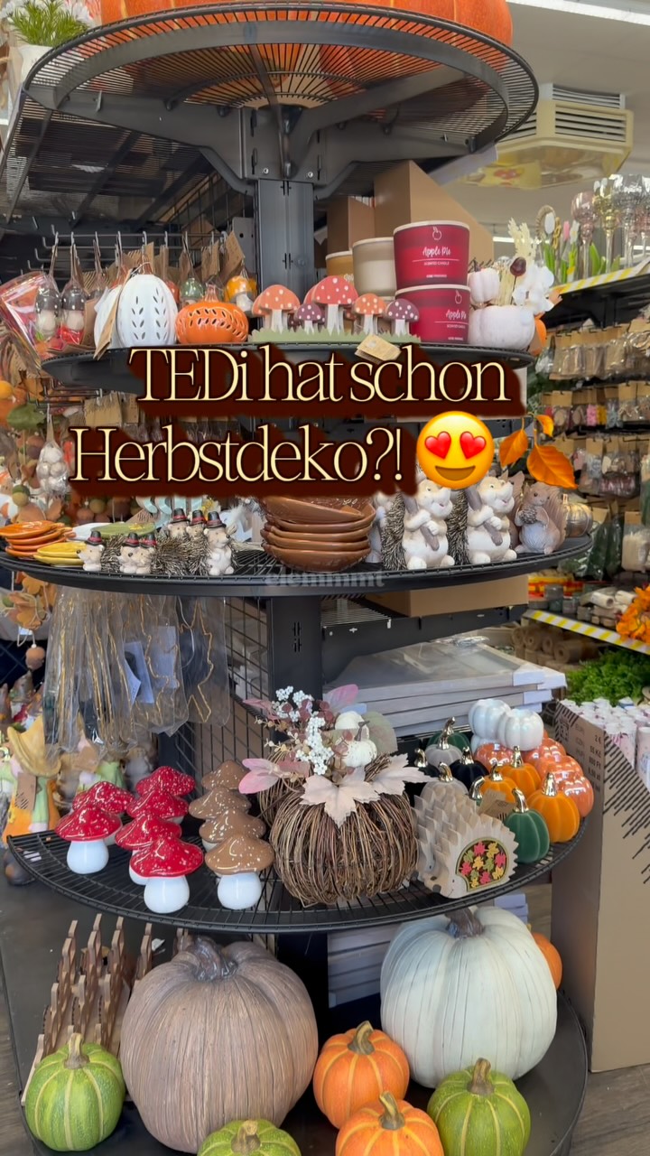 Ich habe mir letzte Woche mal die süßesten Tedi Halloween Produkte angeguckt! So viel cute Deko! Was ist denn dein Highlight? Hast Du schon dekoriert? #tedi #halloweendeko