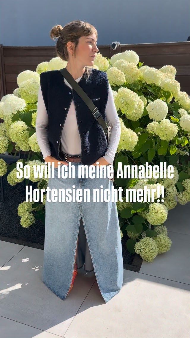 Tadaaa! Annabelle Hortensien ein Mal komplett anders. Aber natürlich mit dem bewerten Estrichmatten aus dem Baumarkt., Die Rankgitter, damit die großen Blüten schön stabil wachsen können, und dazu ein