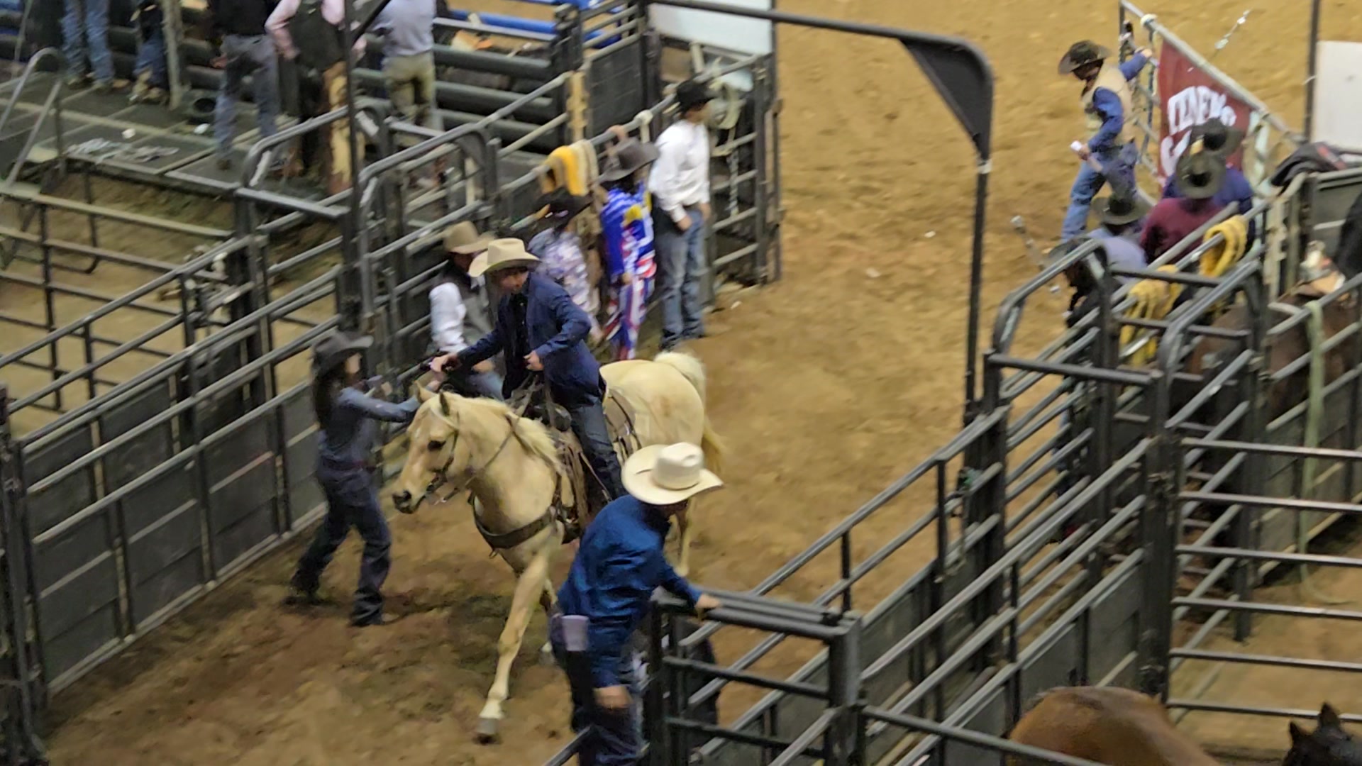 TwisTed Rodeo