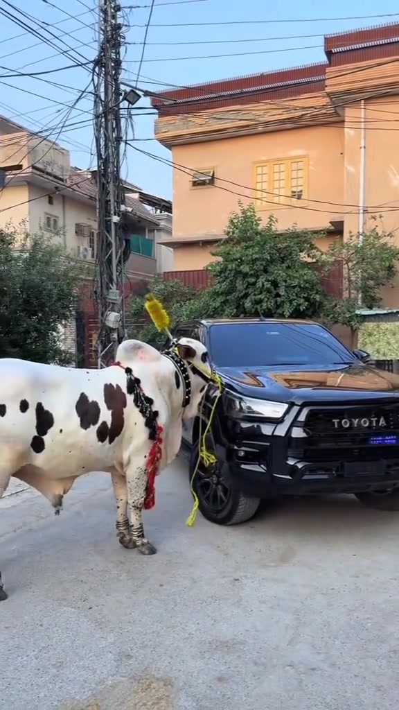 Wadera ka Betta | Rawalpindi