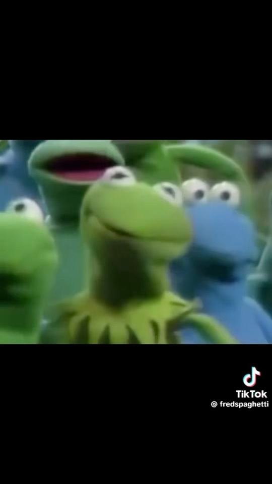 Kermit the Frog 🤝 Kermit the Grof | Sesame Street