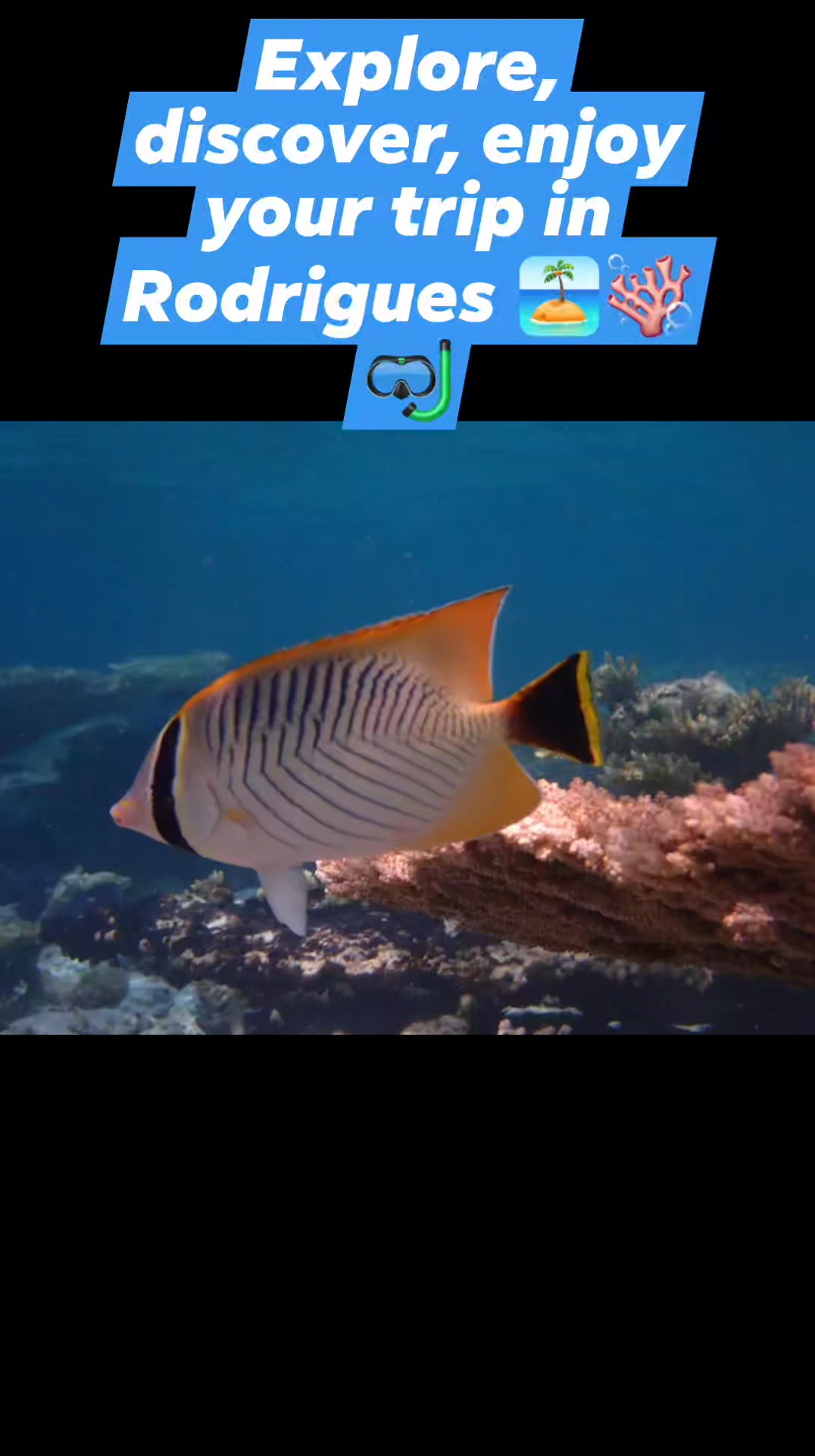 Global Rodrigues, Excursions, fishing spots out lagoon, seafood on ...