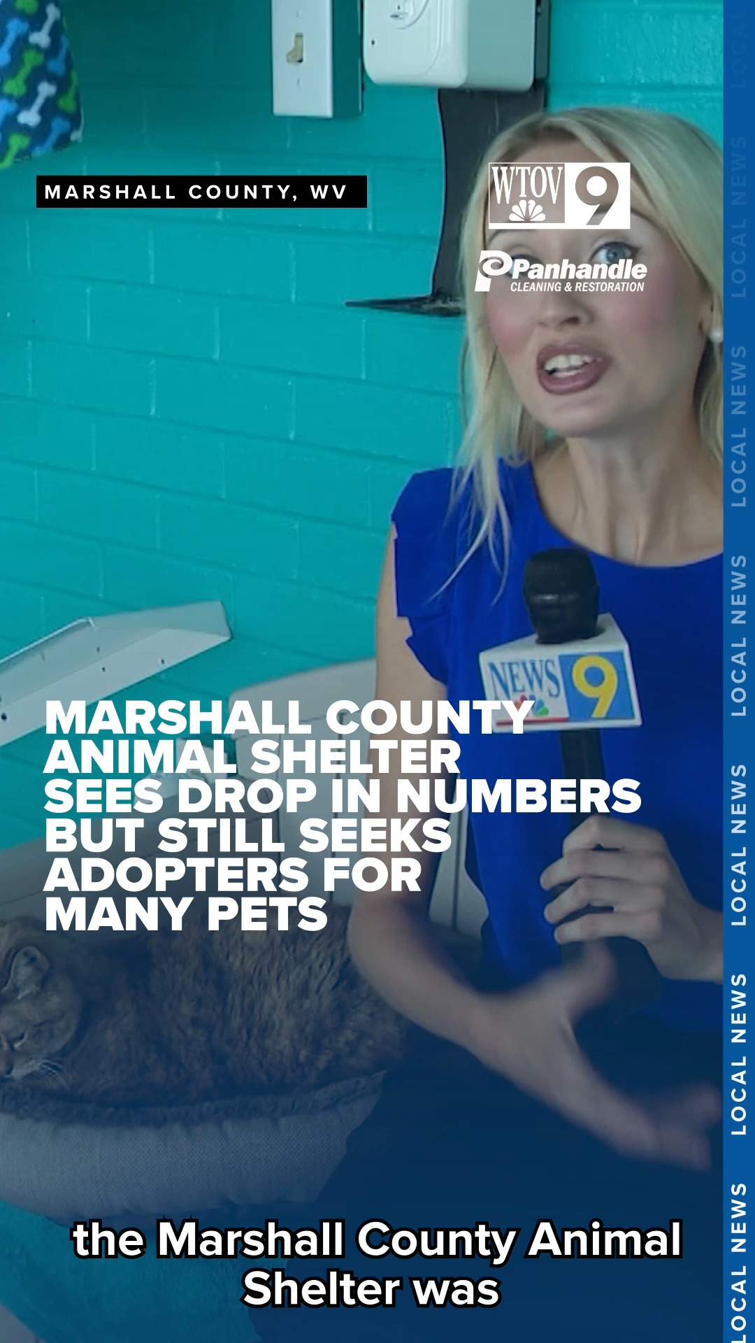 Just a few weeks ago, the Marshall County Animal Shelter was at full ...