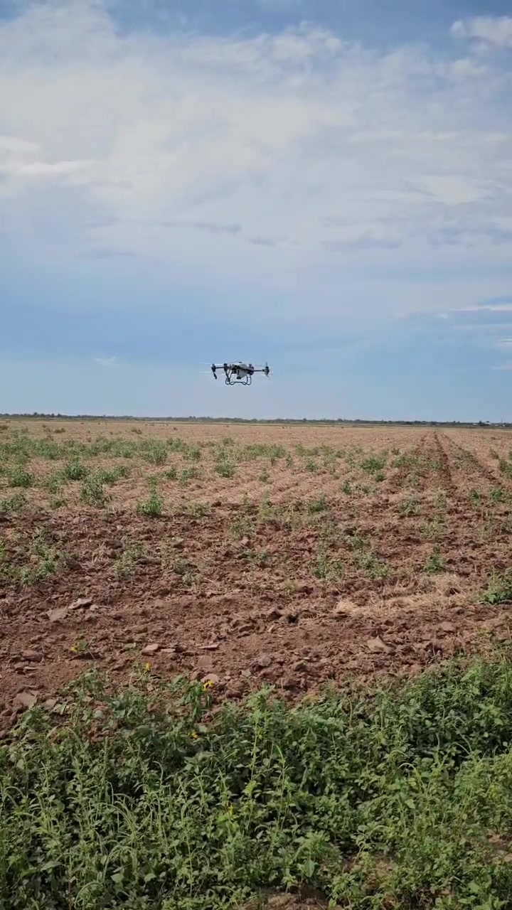 RFS Agrícolas de Sonora | Huatabampo