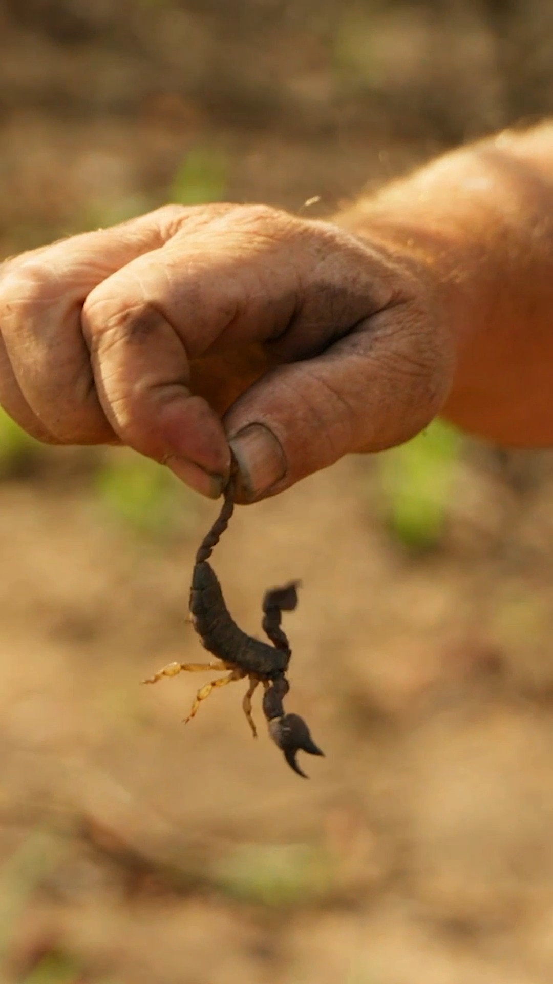 Naked and Afraid Watch this digital exclusive sneak peek from the new