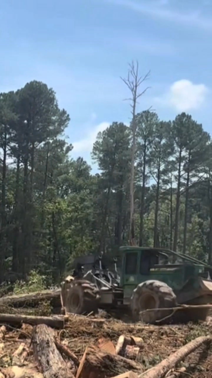 Logger work 🌲🪚🚜🪵🥾 #brotherhood #fyp #thenandnow #AmericanHeritage # ...