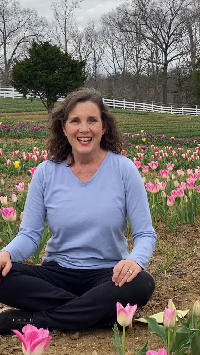🌷 TULIP SEASON IS HERE @ DEWBERRY FARM 🌷We're showing some