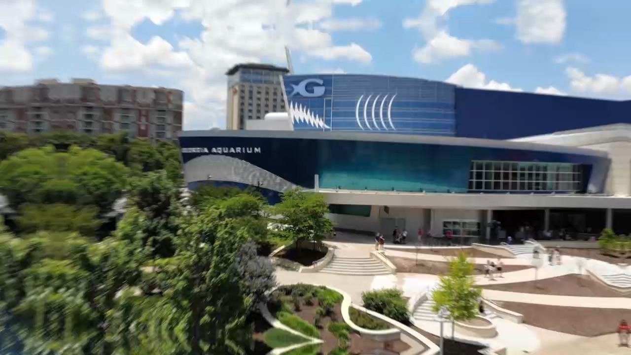 Atlanta Channel | Atlanta GA