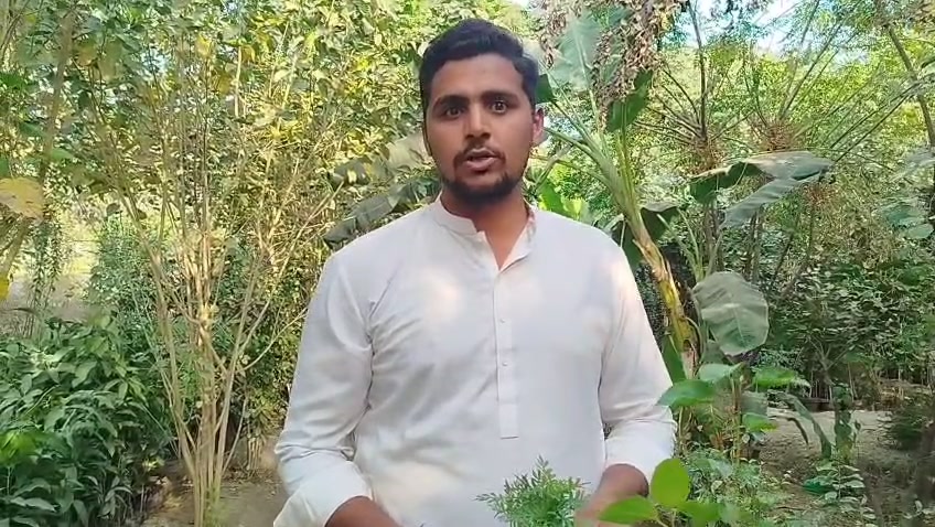 اسی طرح آہستہ آہستہ ہمارا شہر گرین ہو جائے گا #green_pakistan_clean ...