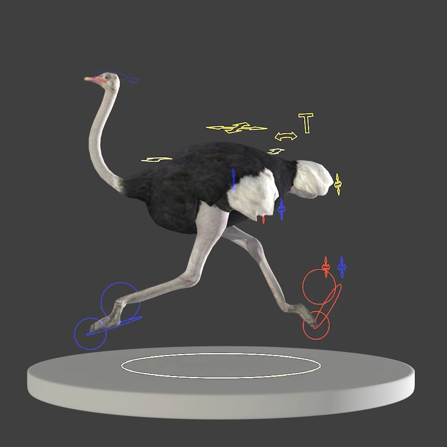 Ostrich Walk and Run Ah, it’s been a while since I post something, oops ...