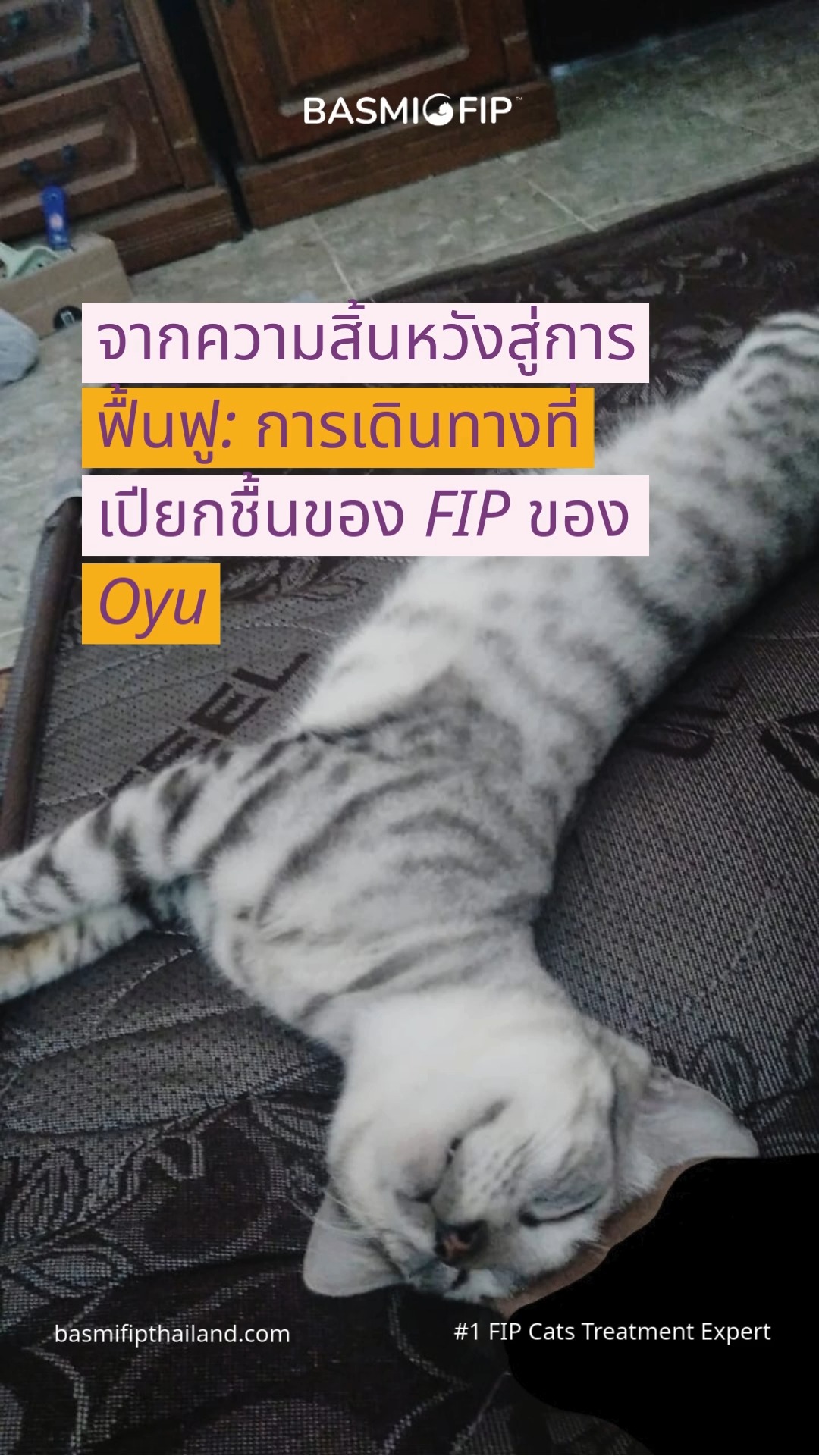 จากความอ่อนแอและสิ้นหวัง... - BASMI FIP - ประเทศไทย | Facebook