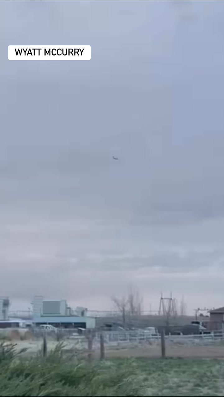 This United plane sucked a rabbit into the engine on the ground. It led ...