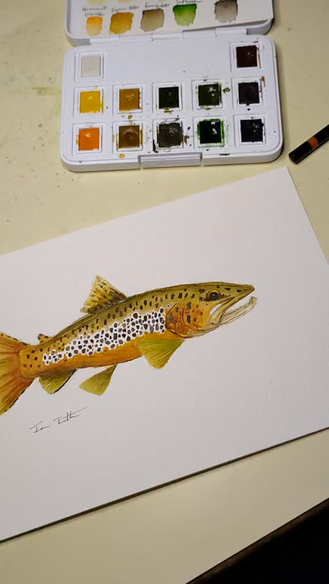 What says October better than a colored up brown trout? #flyfishing # ...