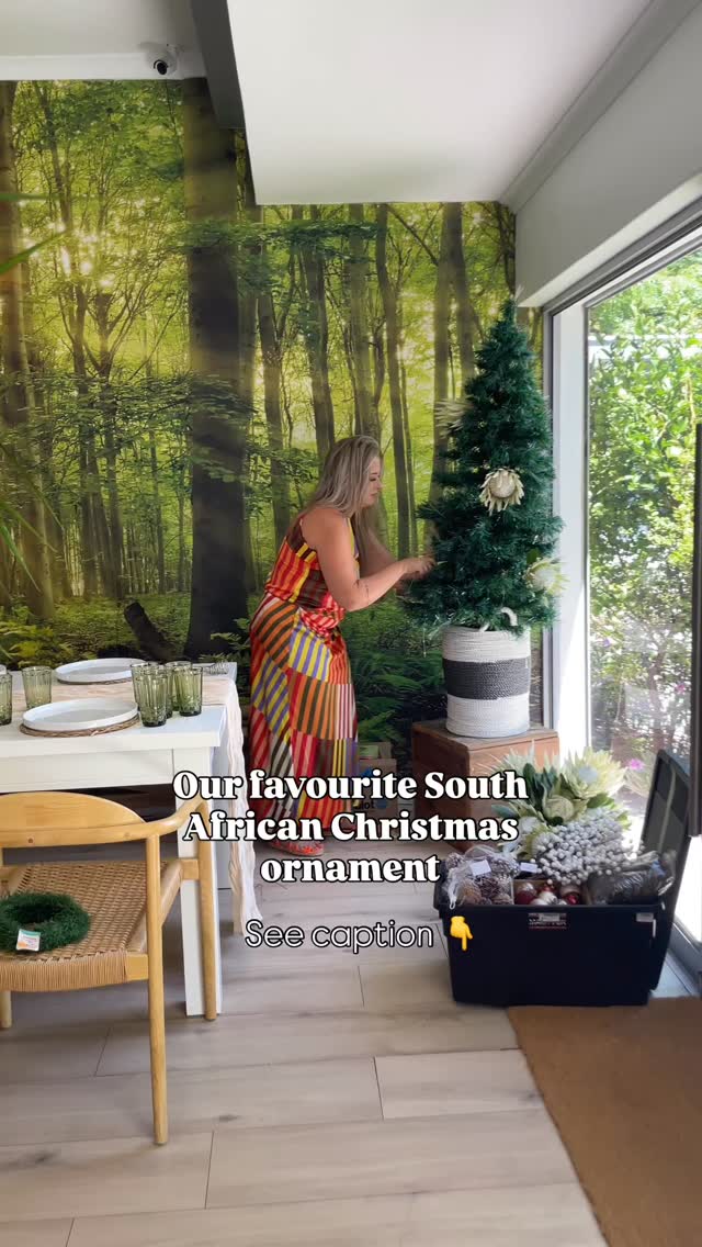 Can you guess our favourite South African Christmas decoration for 2025 ...