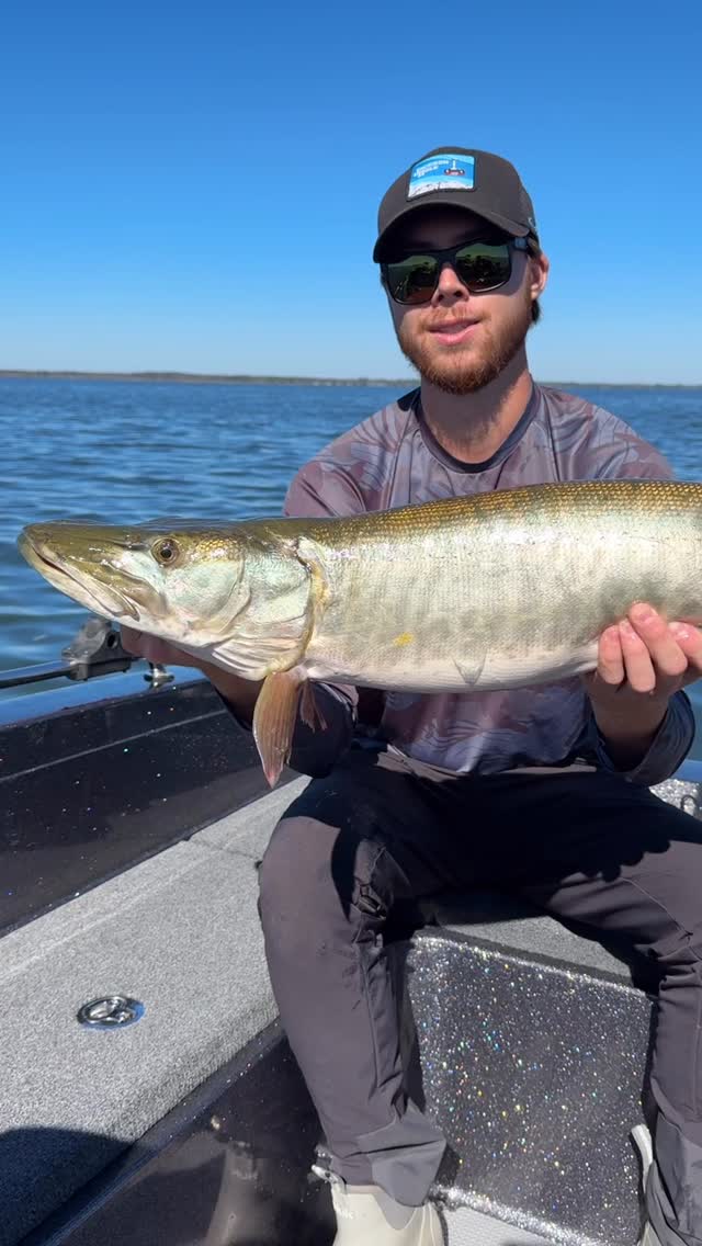 Hell of a first musky! Follow- @dcbronzies #musky #muskyfishing # ...