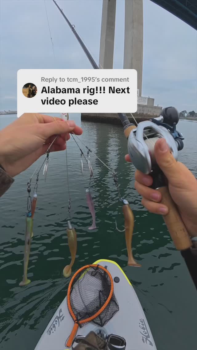 Alabama Rig in Saltwater! Still can’t believe I lost both on the same ...
