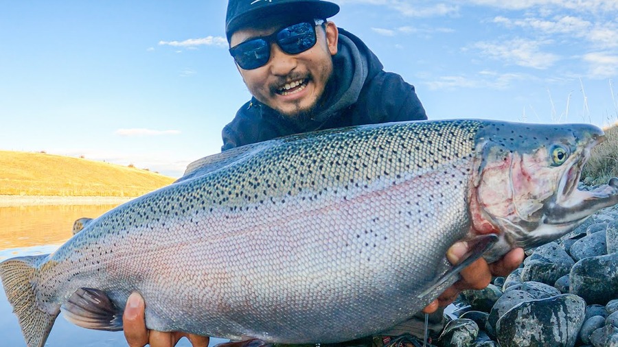 Huge Rainbow Trout in New Zealand