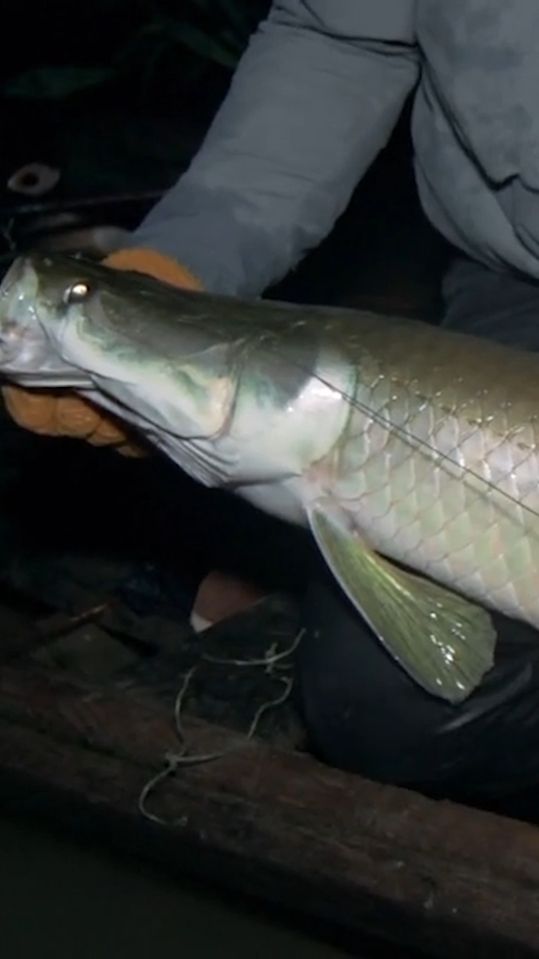 hdx tackle box HD Boxes Model:JOC75MHF in-person 7WT Saltwater Fly Reels allowing for quick access