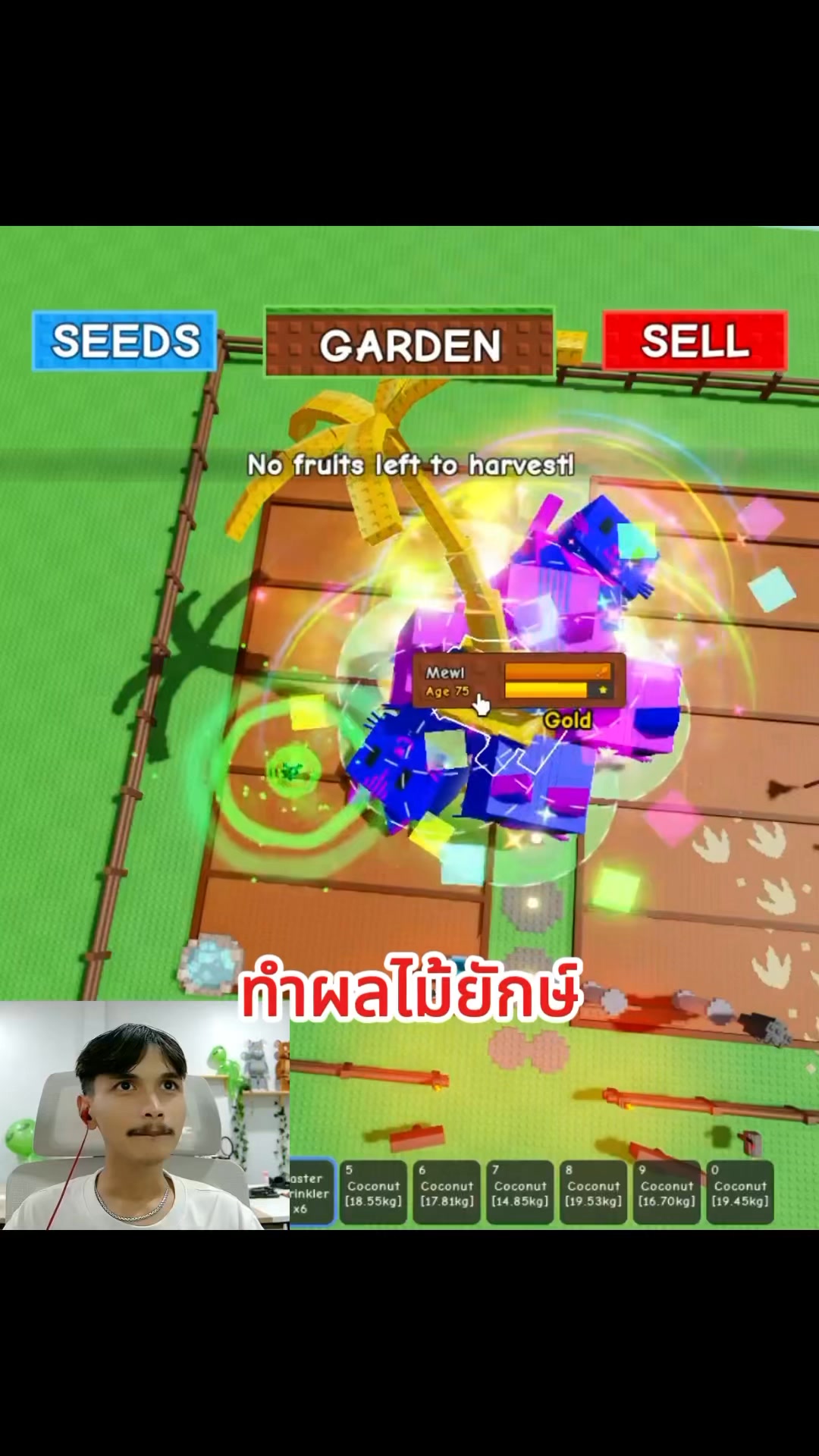 WDWD Shop