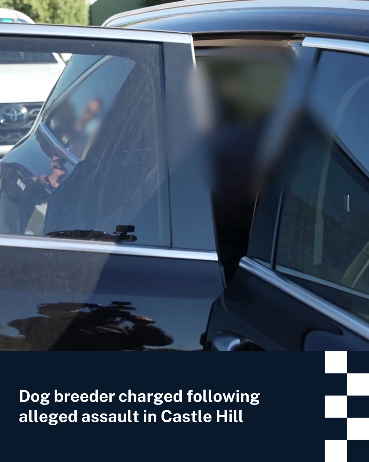 Raptor Squad officers have charged a member of a notorious dog breeding ...