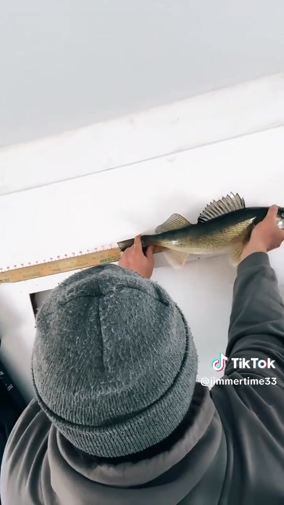 Raschke's Guide Service on Lake of the Woods on Reels