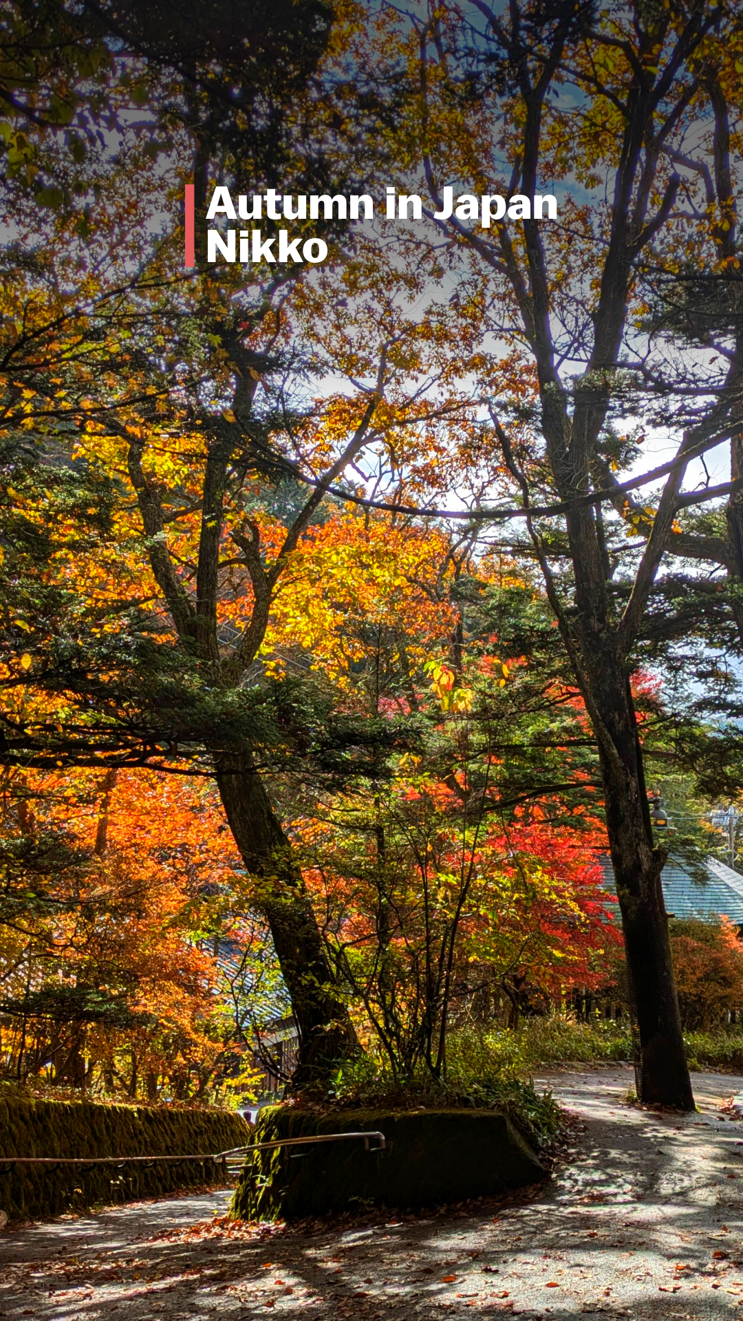 Nikko's autumn colors are in full swing 🍁 Yesterday our writer ...