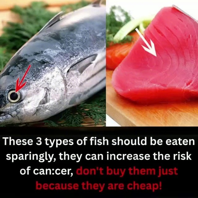 These 3 popular fish in the market, no matter how cheap, should be ...