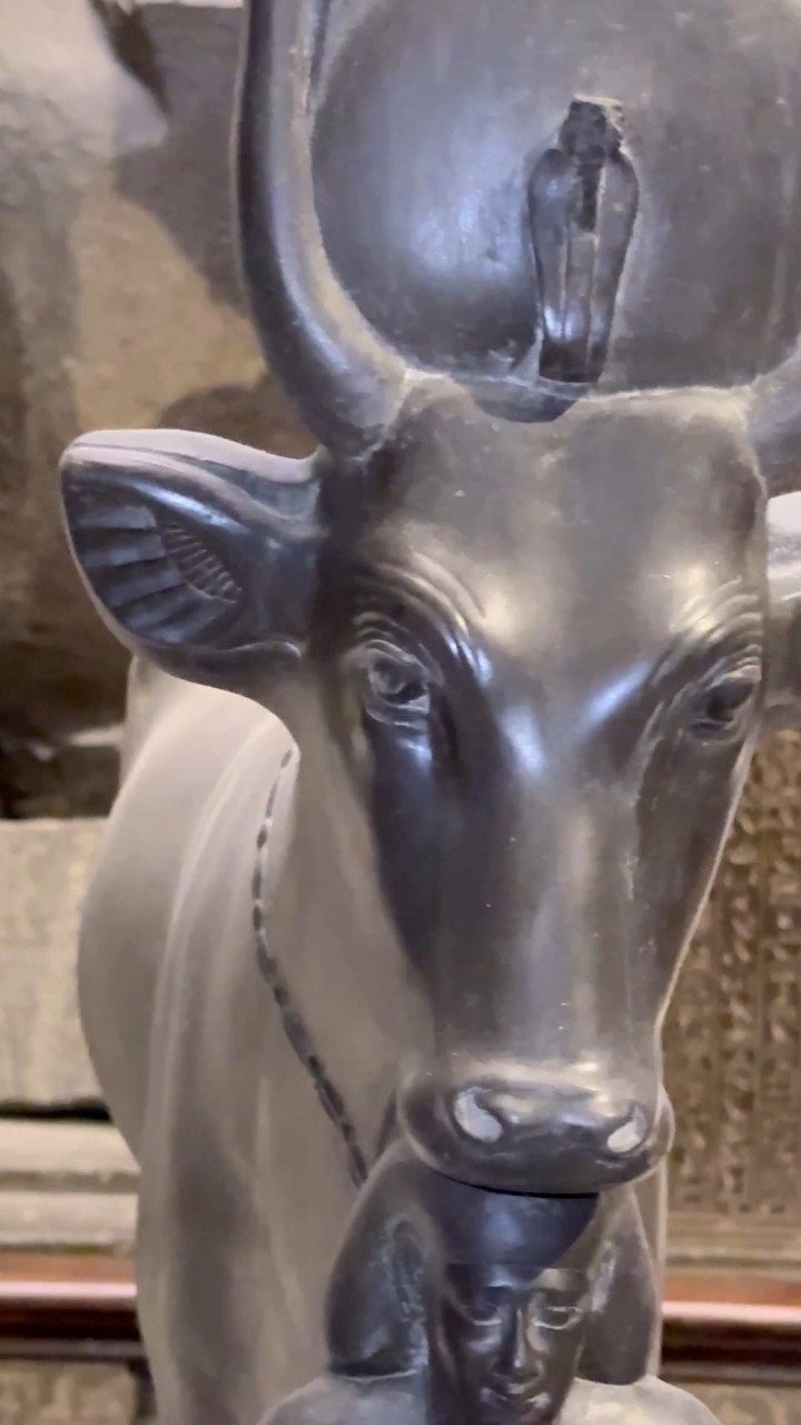 👀 The Eyes of Hathor’s Sacred Cow Seem to MoveOver 2,000 years ago ...