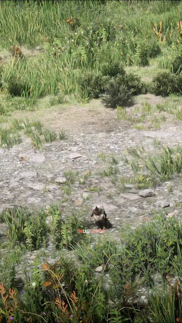 Chicken Dinner anyone #reddeadredemption2 #rdr2 #rockstargames #rdr2pc ...
