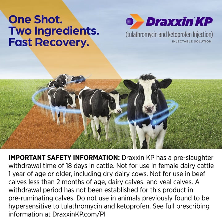 Powerful Draxxin® KP (tulathromycin and ketoprofen injection ...