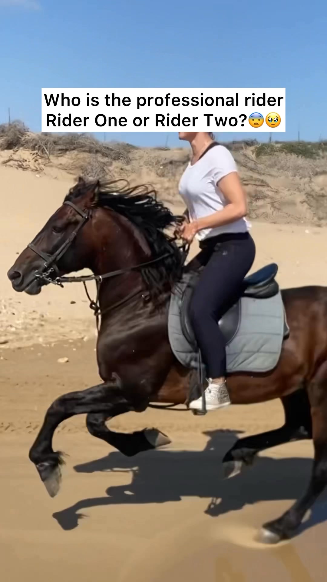 Who is the professional rider Rider One or Rider Two?😨🥹 #horse #horses ...