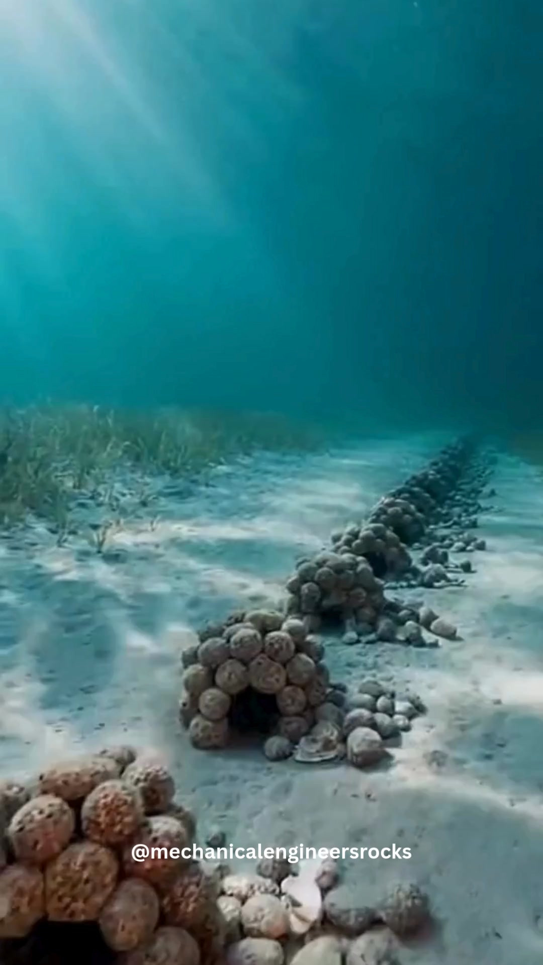 Marine researchers have discovered a remarkable underwater site where ...