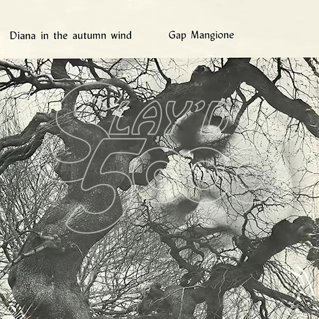 This is the first ever vinyl reissue of Gap Mangione's Diana In