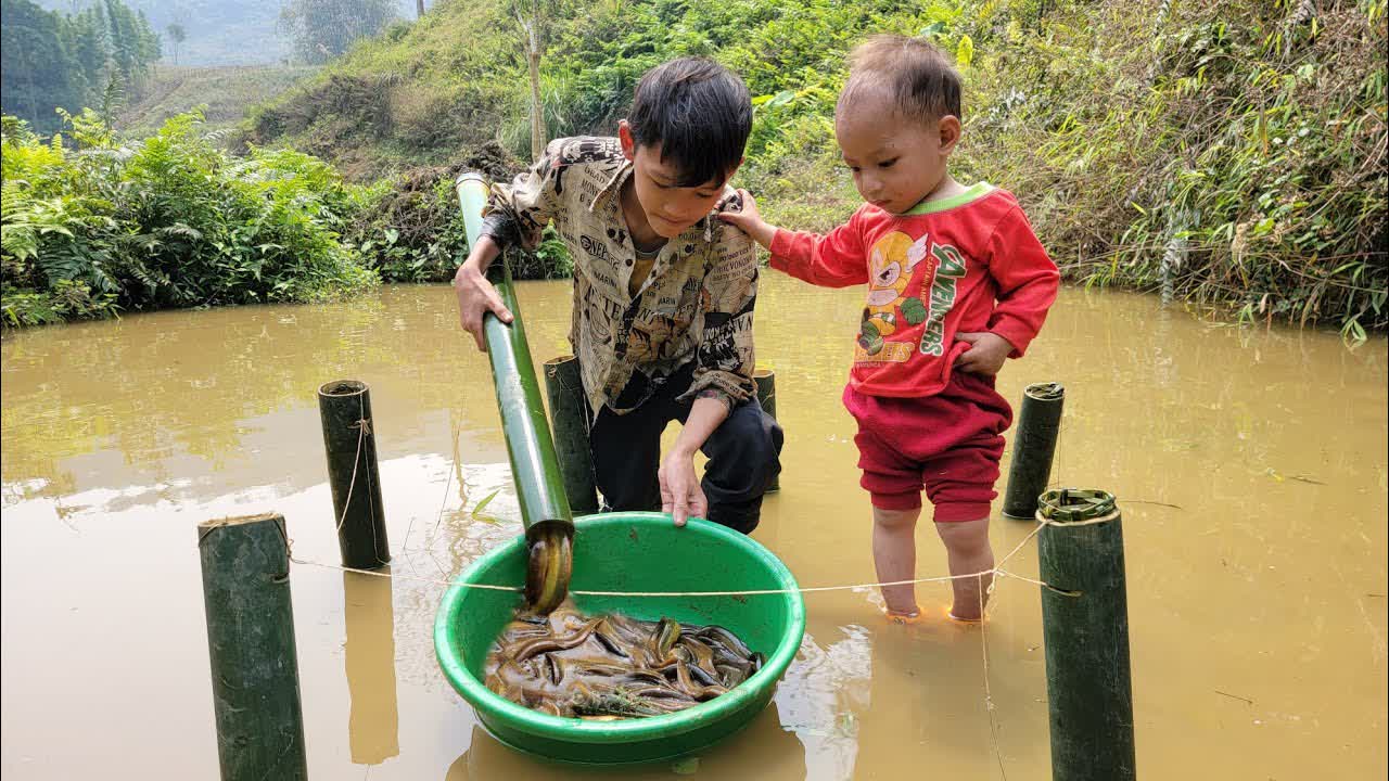Homeless orphan boy's skill of trapping loach with bamboo tube, trap ...