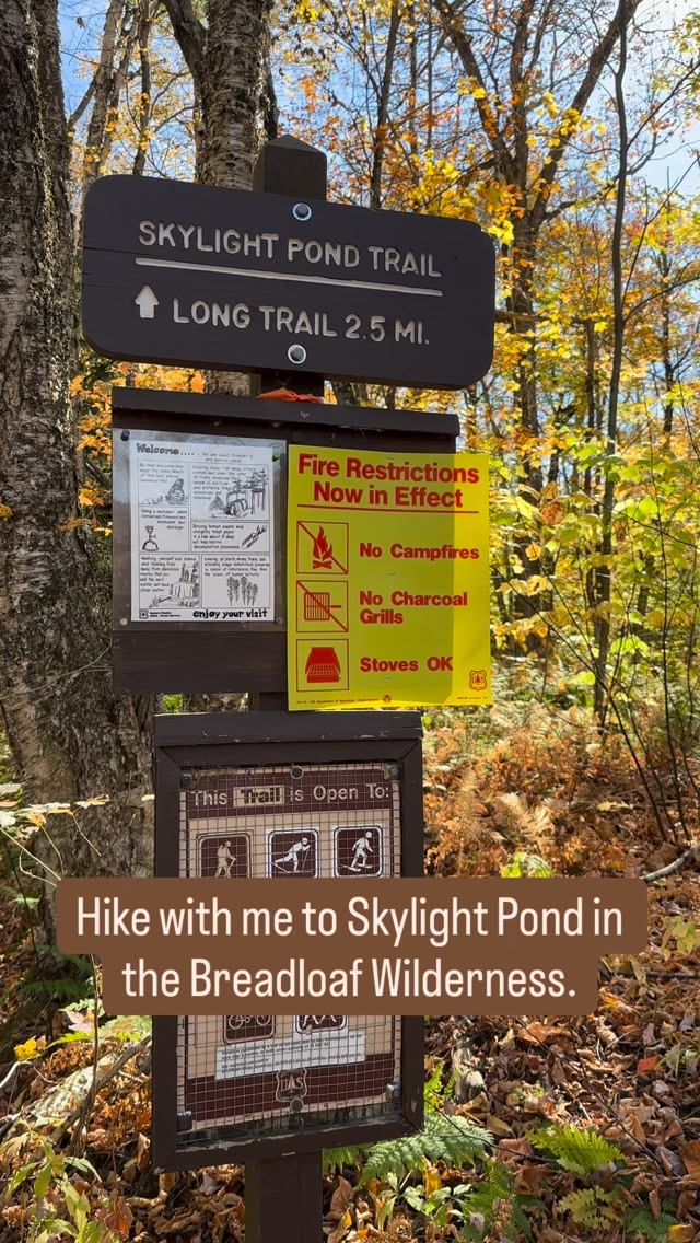 Ready for golden leaves, quiet streams, and mountain views? Skylight ...