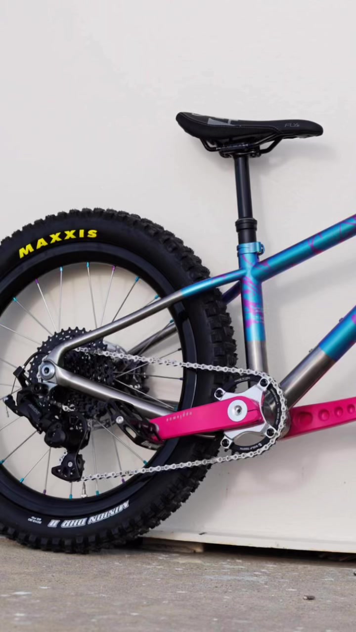 One dad bod. One 65-pound e-bike. Over 1,500 km of rad trails. This ...