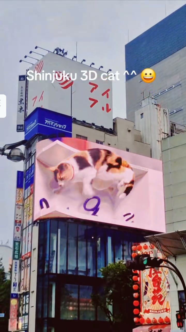 Shinyuku 3D Cat ^^ #japan #tokyo #shinjuku | Sham An