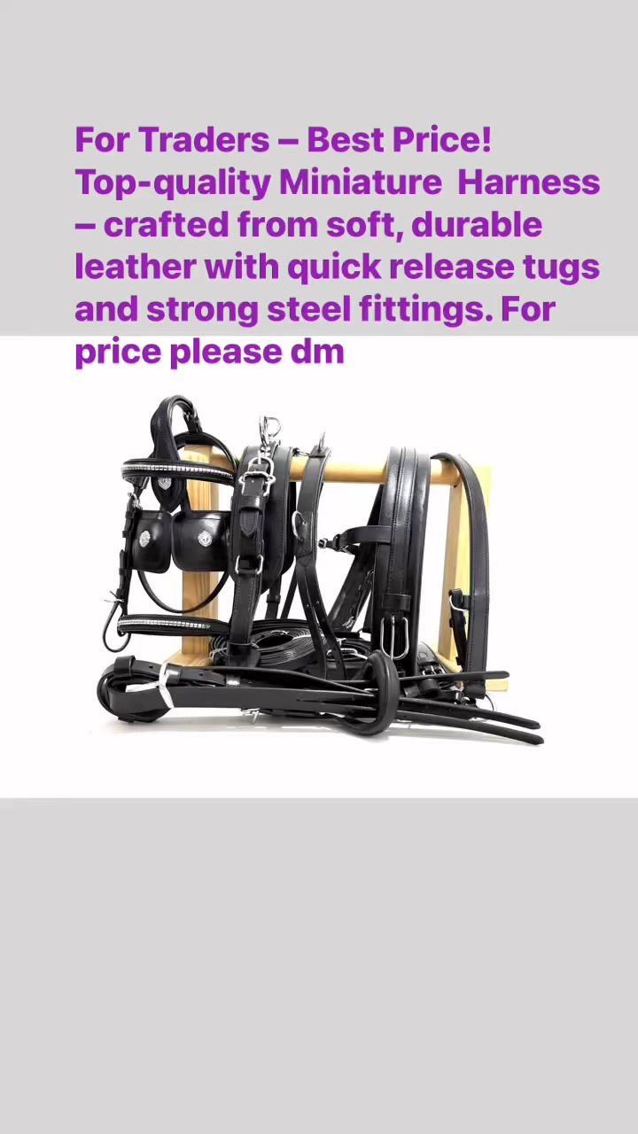 For Traders – Best Price!Top-quality Miniature Harness – crafted from ...