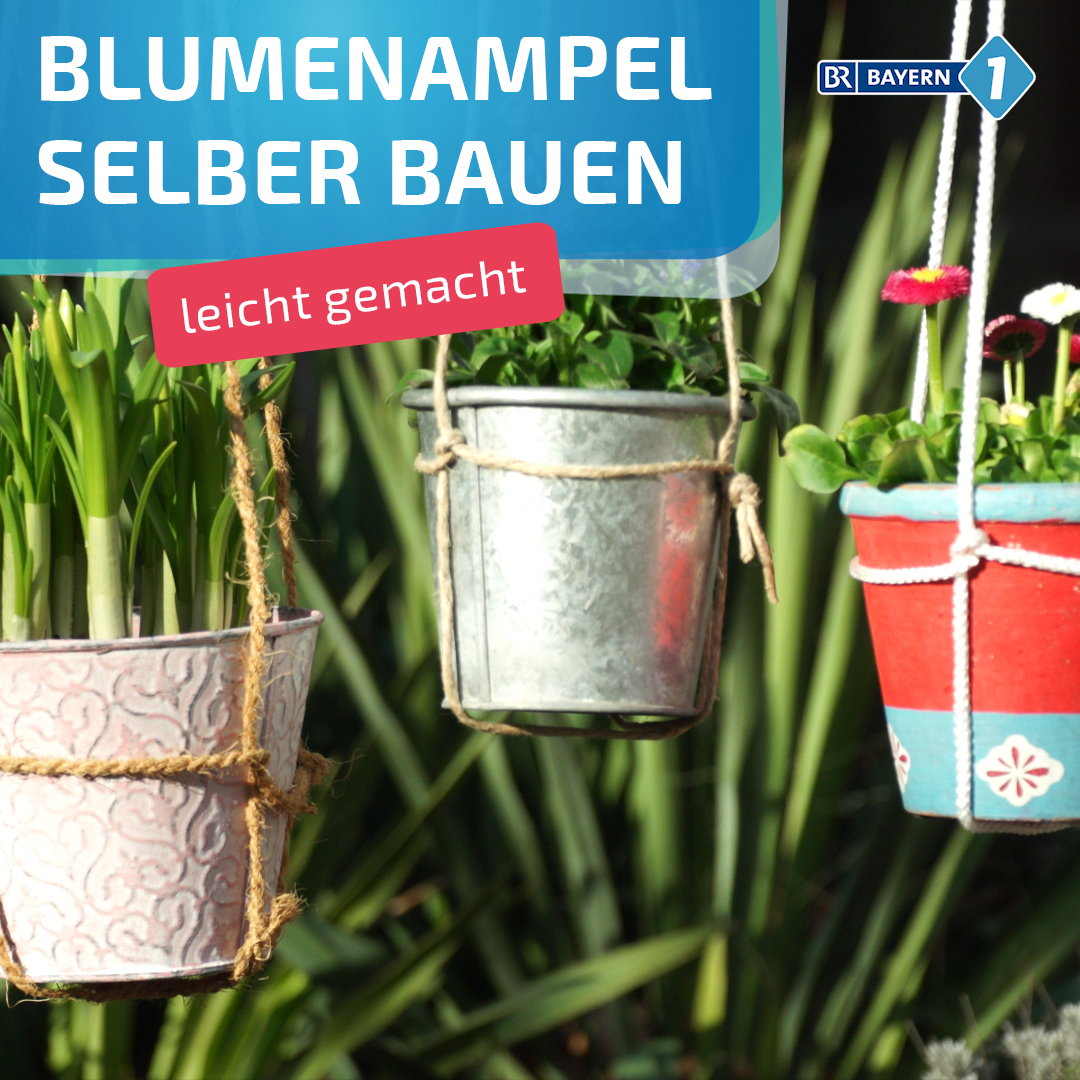 💐 Schnell gebastelt und so vielseitig: Diese Blumenampeln können Sie mit dieser Schritt-für-Schritt-Anleitung einfach nachmachen. 💐 | BAYERN 1
