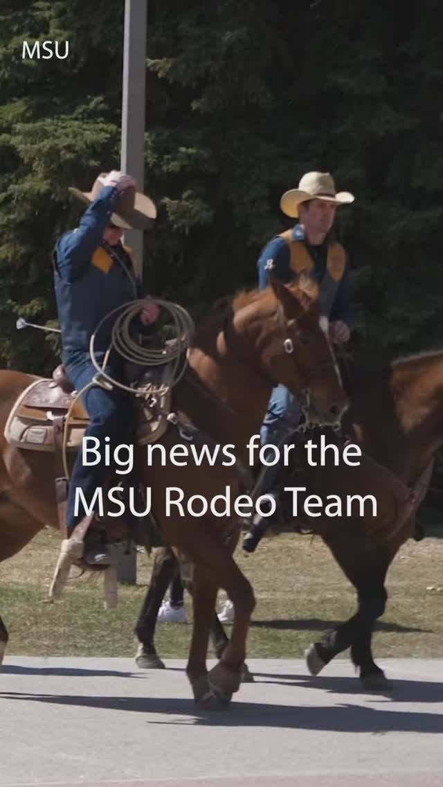 The @msu_rodeo Team will represent Montana and rodeo fans during the ...