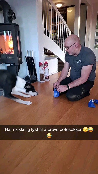 Lene Karen Røise Frøysjø