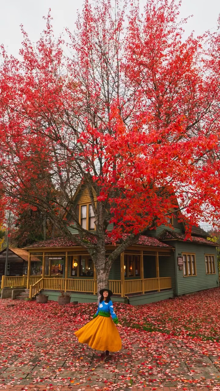Consider this your sign to plan that cozy fall getaway. 🍁 From golden ...